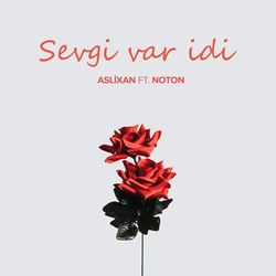 Sultan Süleyman (New Version)