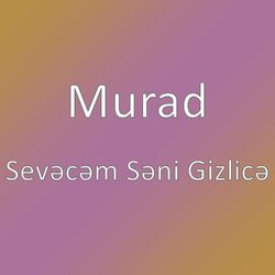 Sevecem seni gizlice  