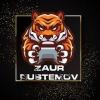 Rustemov Zaur