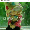 Aslanlı Samir