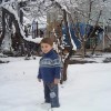 Bayramov Zakir