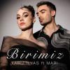 Fariz İlyas Birimiz & MARI
