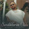 Mürsel Seferov Sevdiklərim Oldu