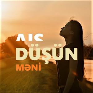 Düşün məni (Elvin Mirzəzadə)