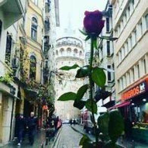 Bura Yene Damır