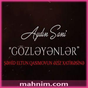 Gözleyenler