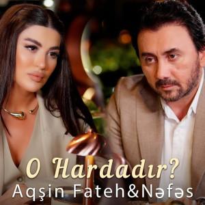 O hardadır? 