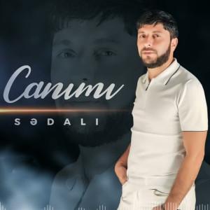 Aldın canımı