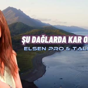 Su daglarda kar olsaydim