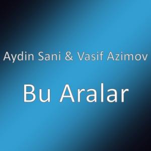 Bu Aralar  