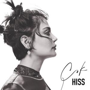 Çek (Roshka Been remix)