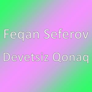 Devetsiz