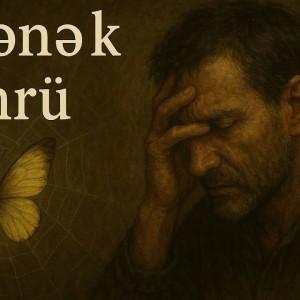Kəpənək ömrü